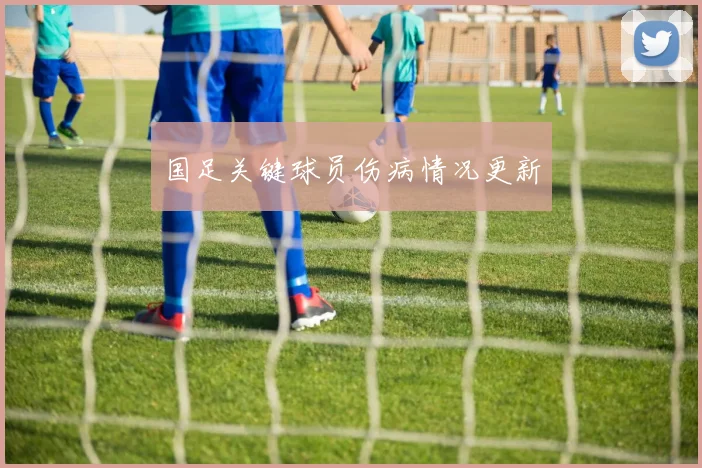 国足关键球员伤病情况更新